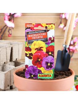 Семена цветов Виола 