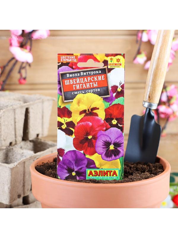Семена цветов Виола 