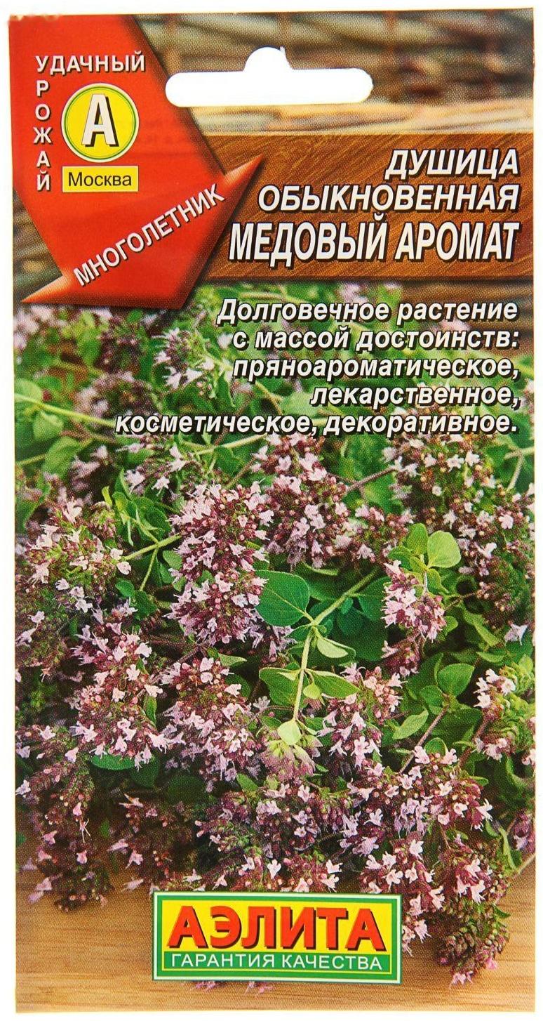 Семена  Душица обыкновенная 