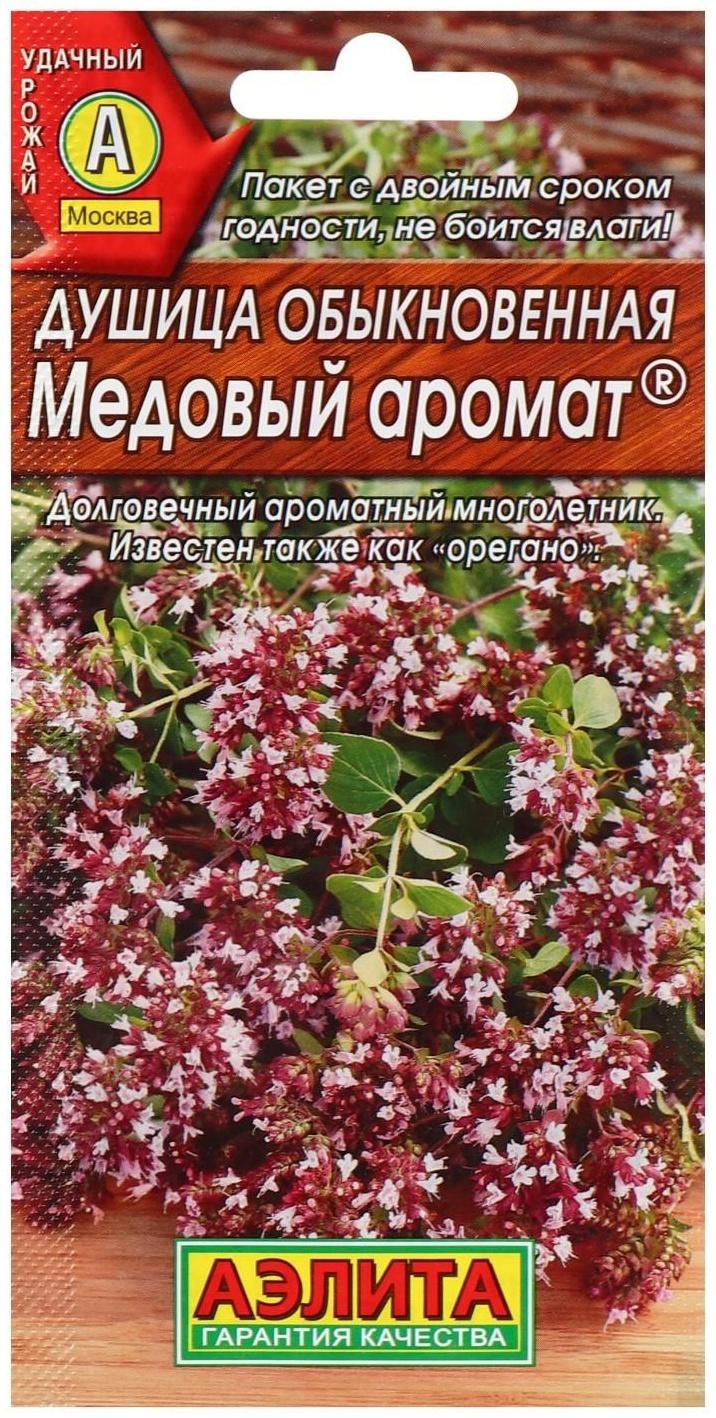 Семена  Душица обыкновенная 