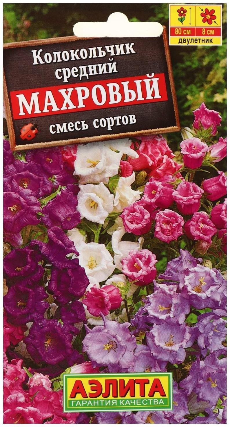 Семена цветов Колокольчик 