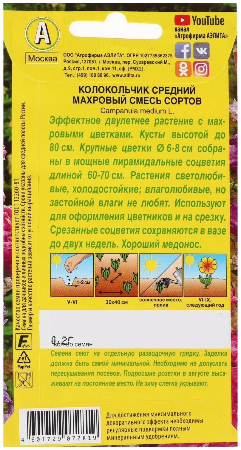 Семена цветов Колокольчик 