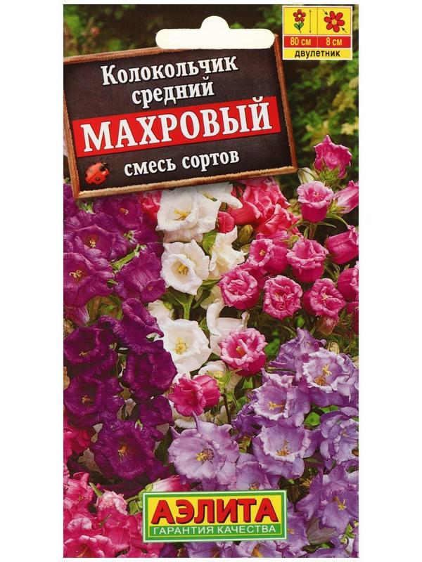 Семена цветов Колокольчик 