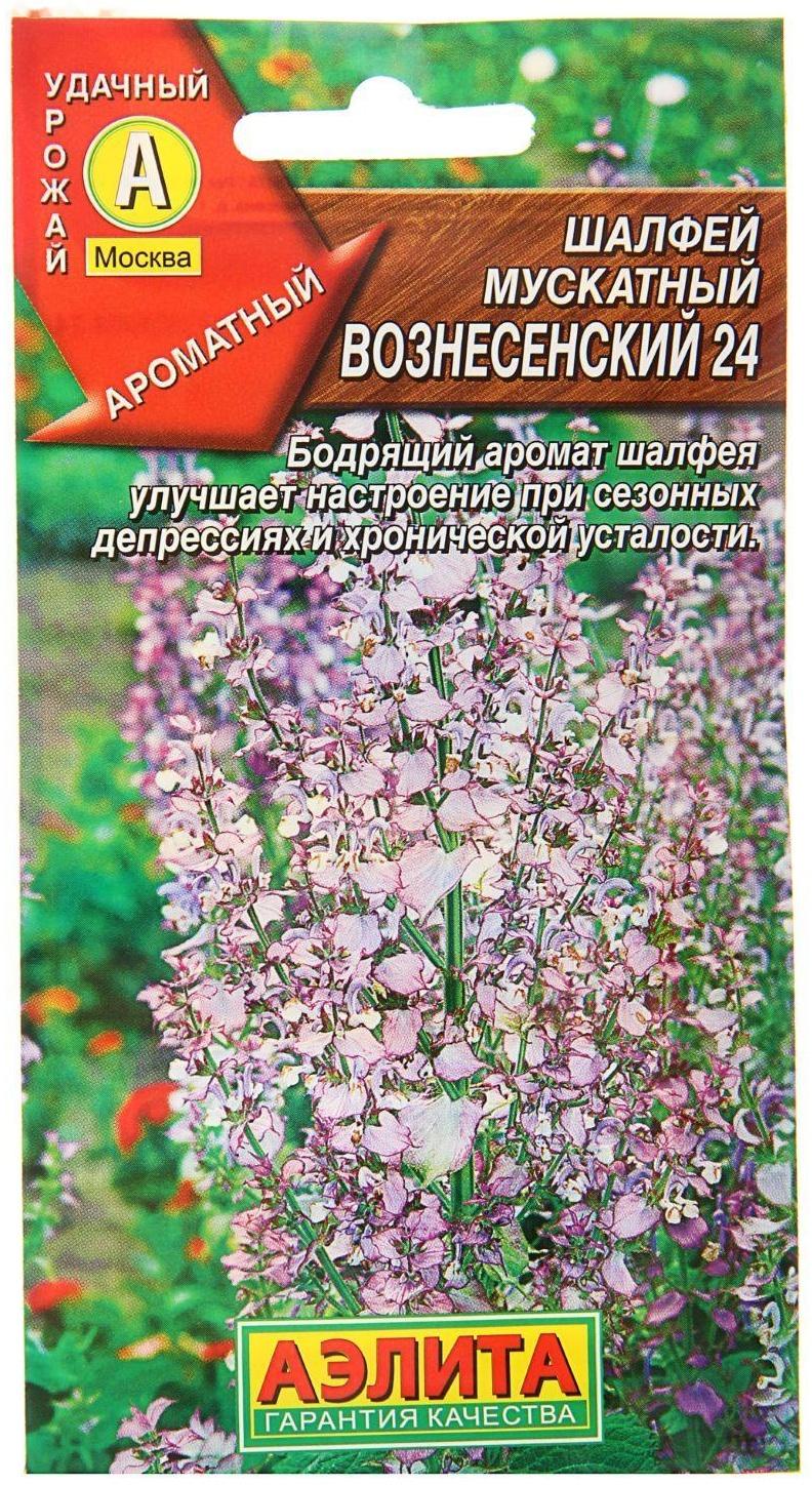 Семена Шалфей мускатный 