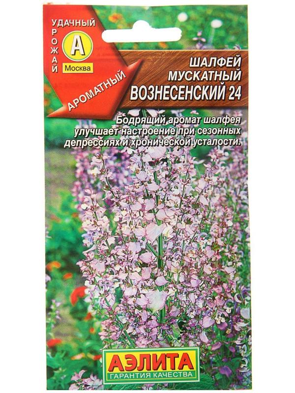 Семена Шалфей мускатный 