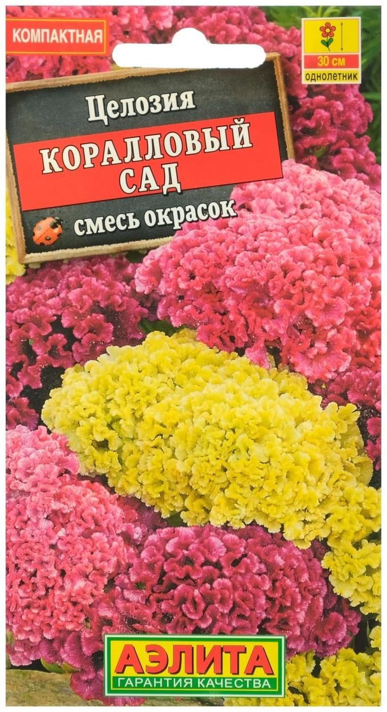 Семена цветов Целозия гребенчатая 