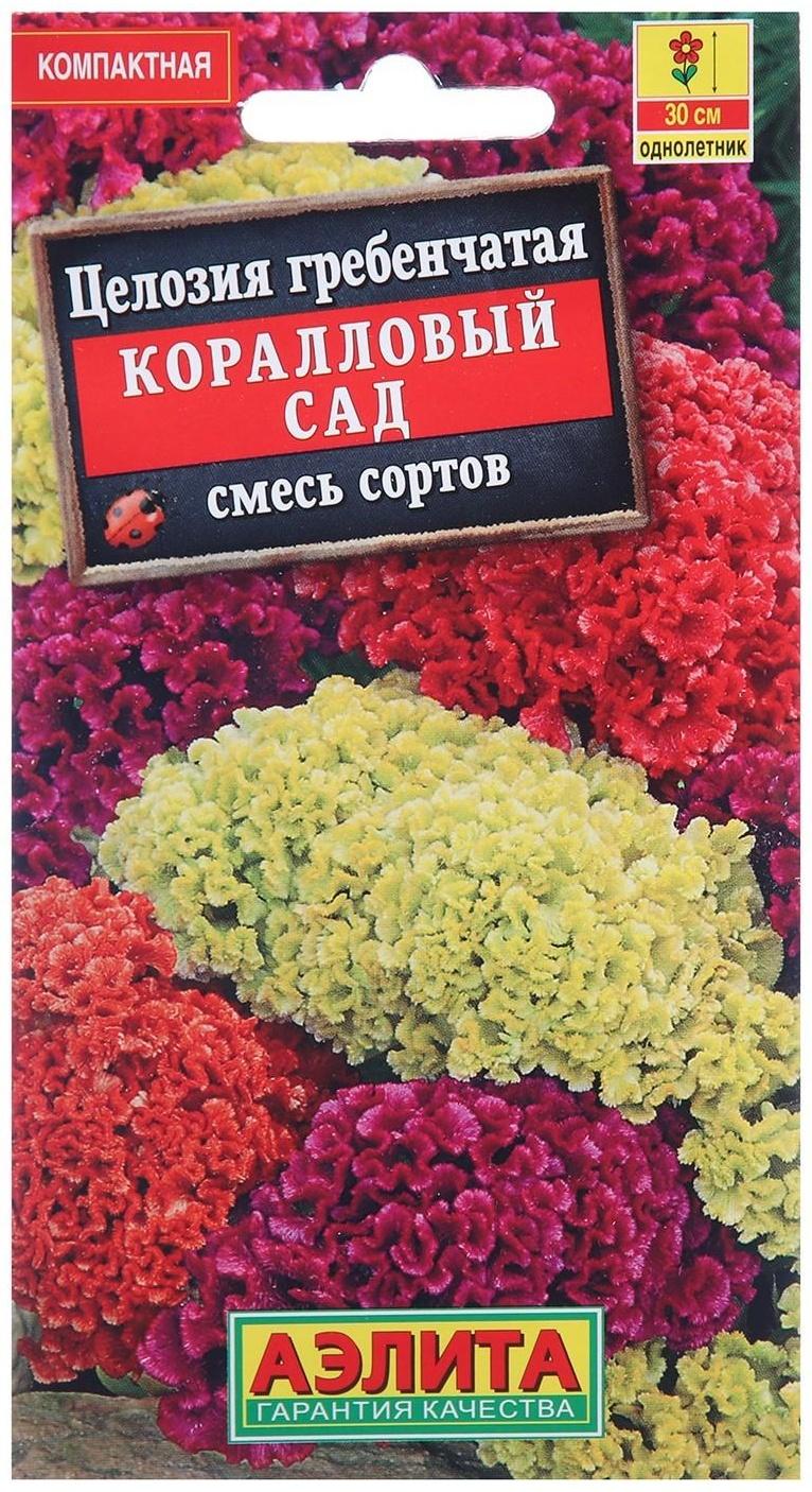 Семена цветов Целозия гребенчатая 