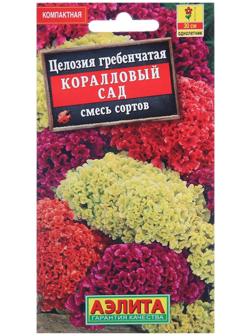 Семена цветов Целозия гребенчатая 