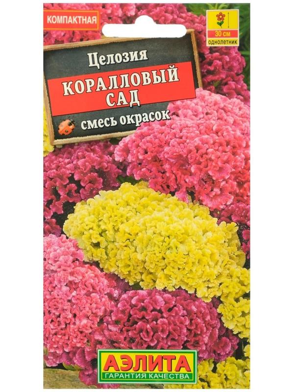 Семена цветов Целозия гребенчатая 