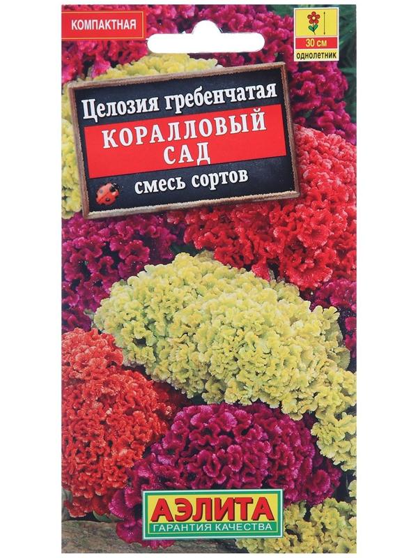 Семена цветов Целозия гребенчатая 