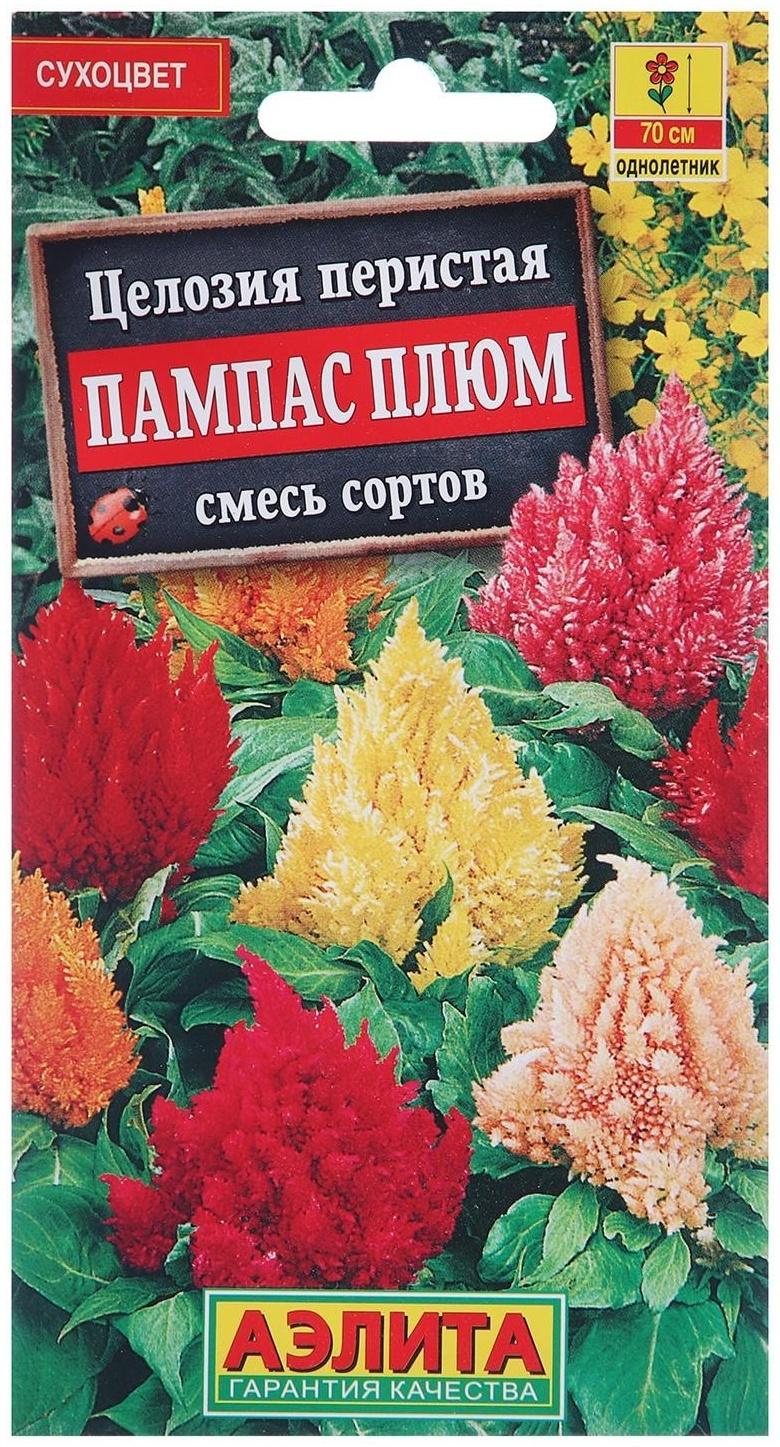 Семена цветов Целозия перистая 