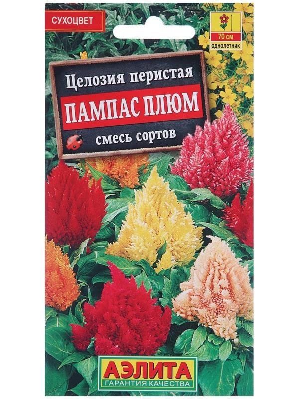 Семена цветов Целозия перистая 