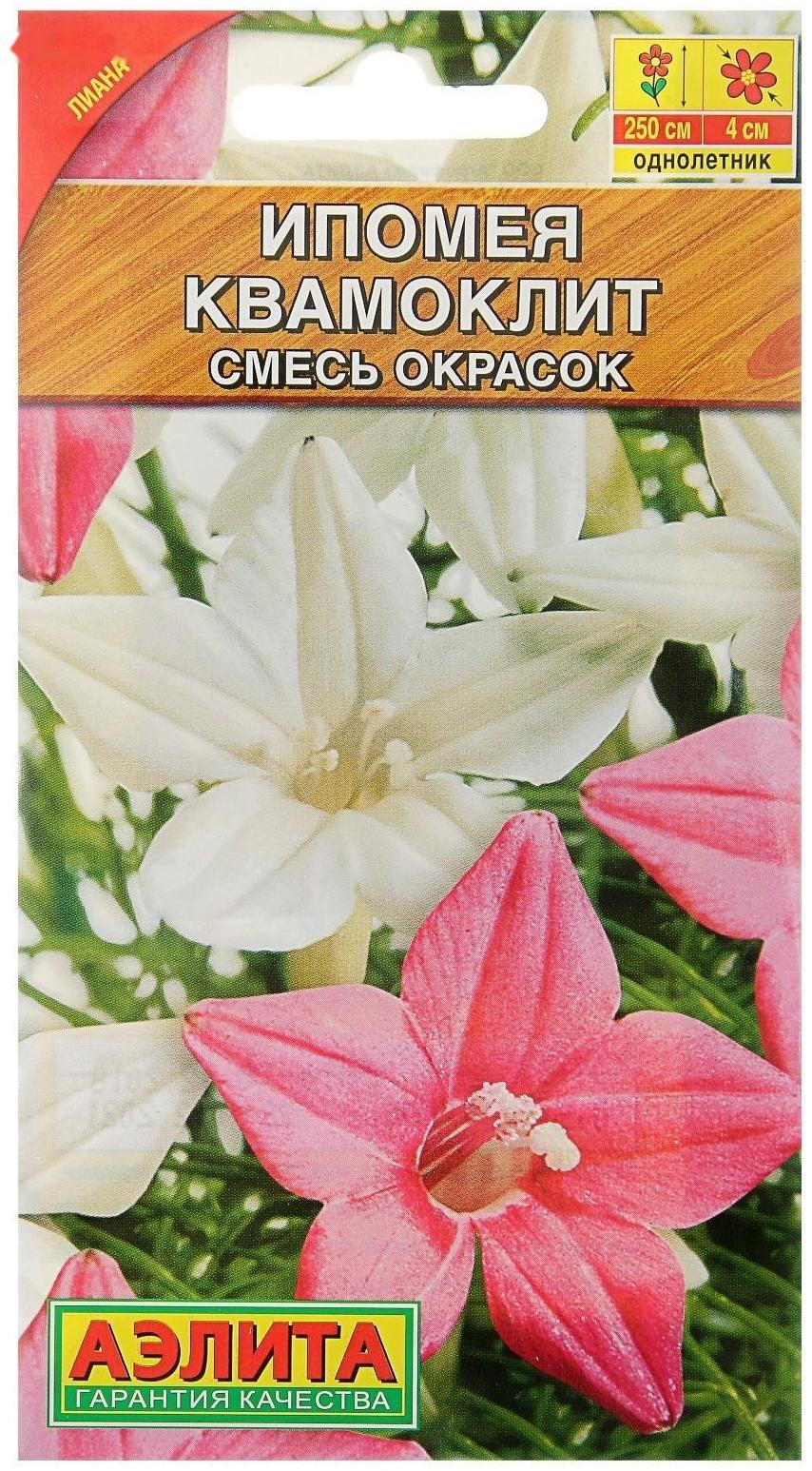 Семена цветов Ипомея 