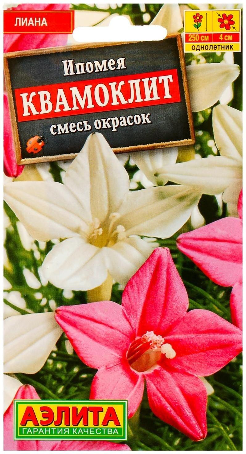 Семена цветов Ипомея 