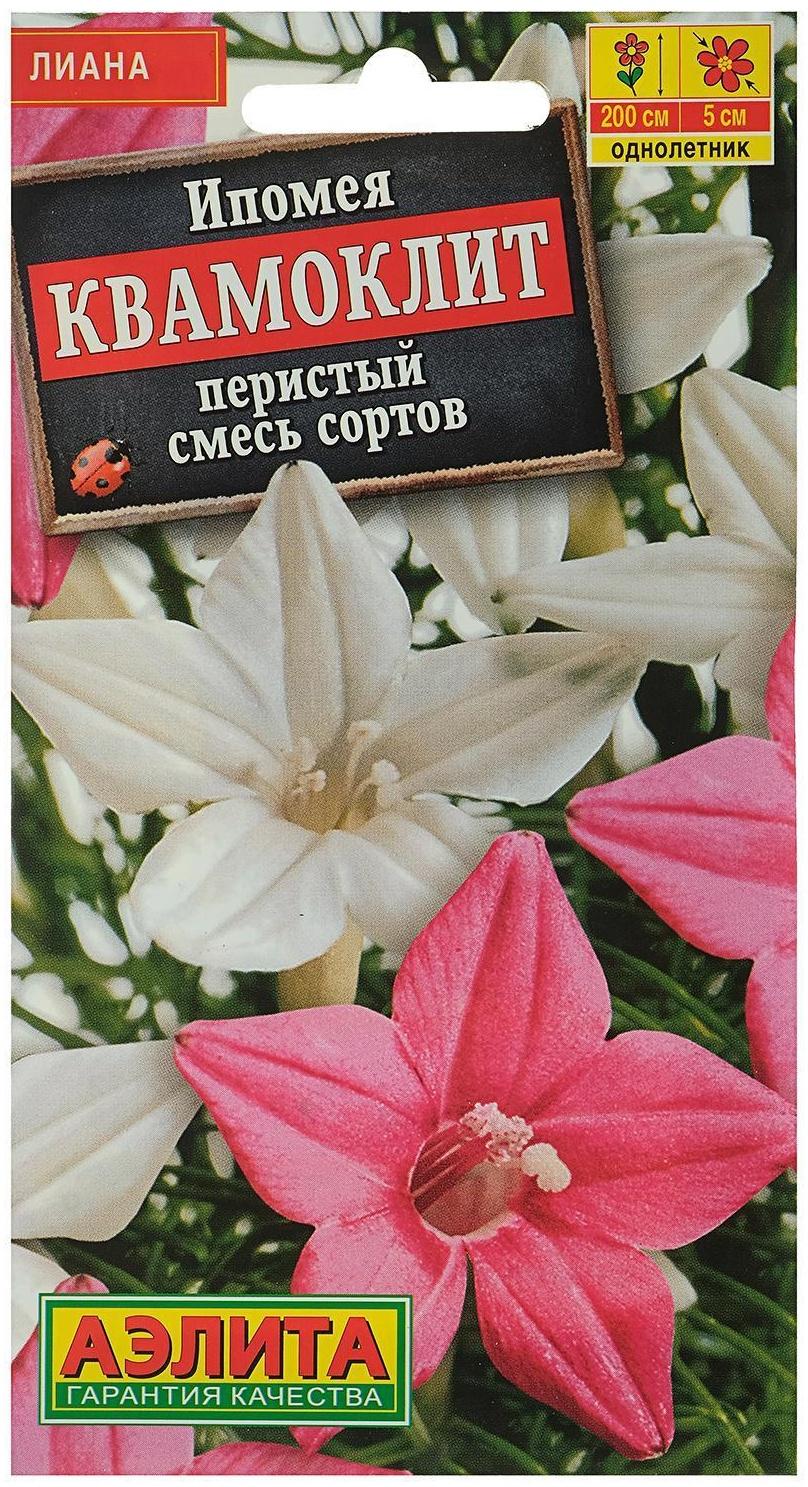 Семена цветов Ипомея 