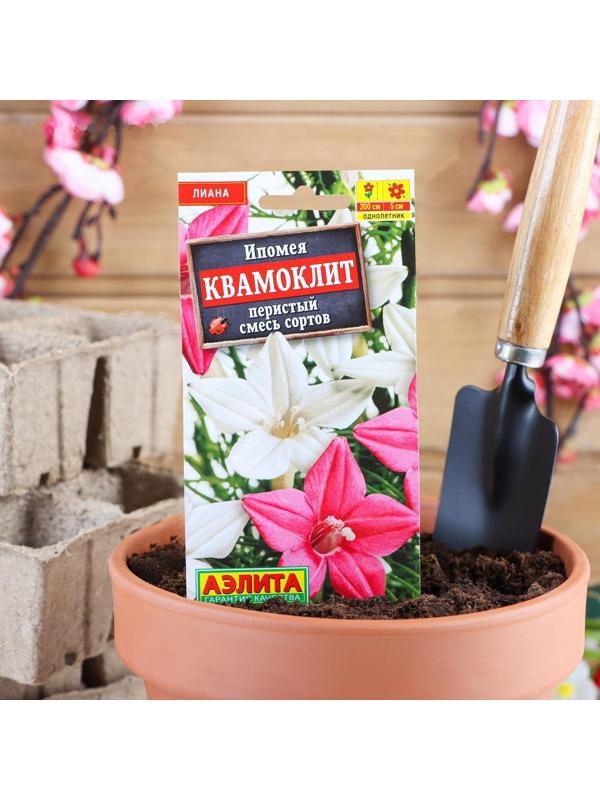 Семена цветов Ипомея 