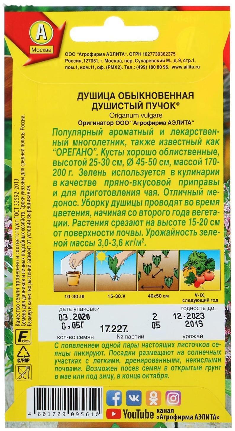 Семена  Душица обыкновенная 