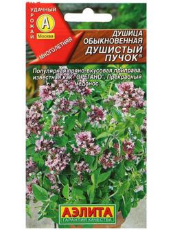 Семена  Душица обыкновенная 