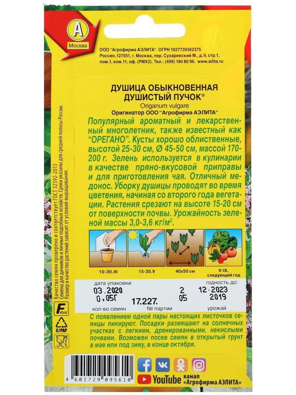 Семена  Душица обыкновенная 