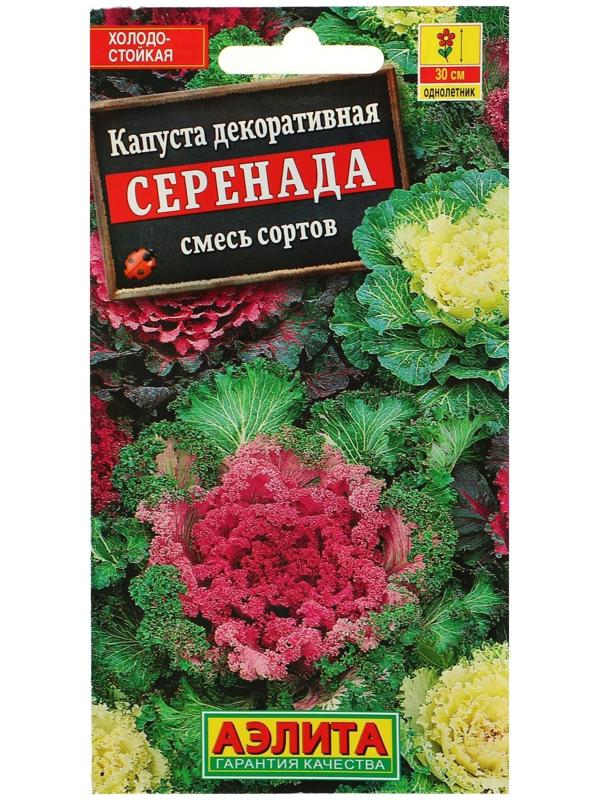 Семена цветов Капуста декоративная 