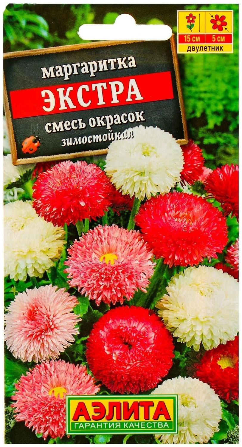 Семена цветов Маргаритка 