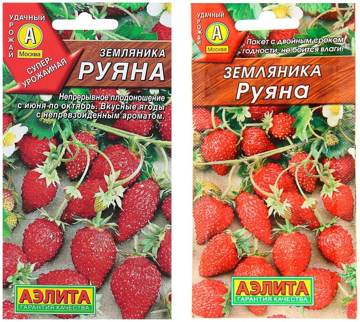 Семена Земляника 