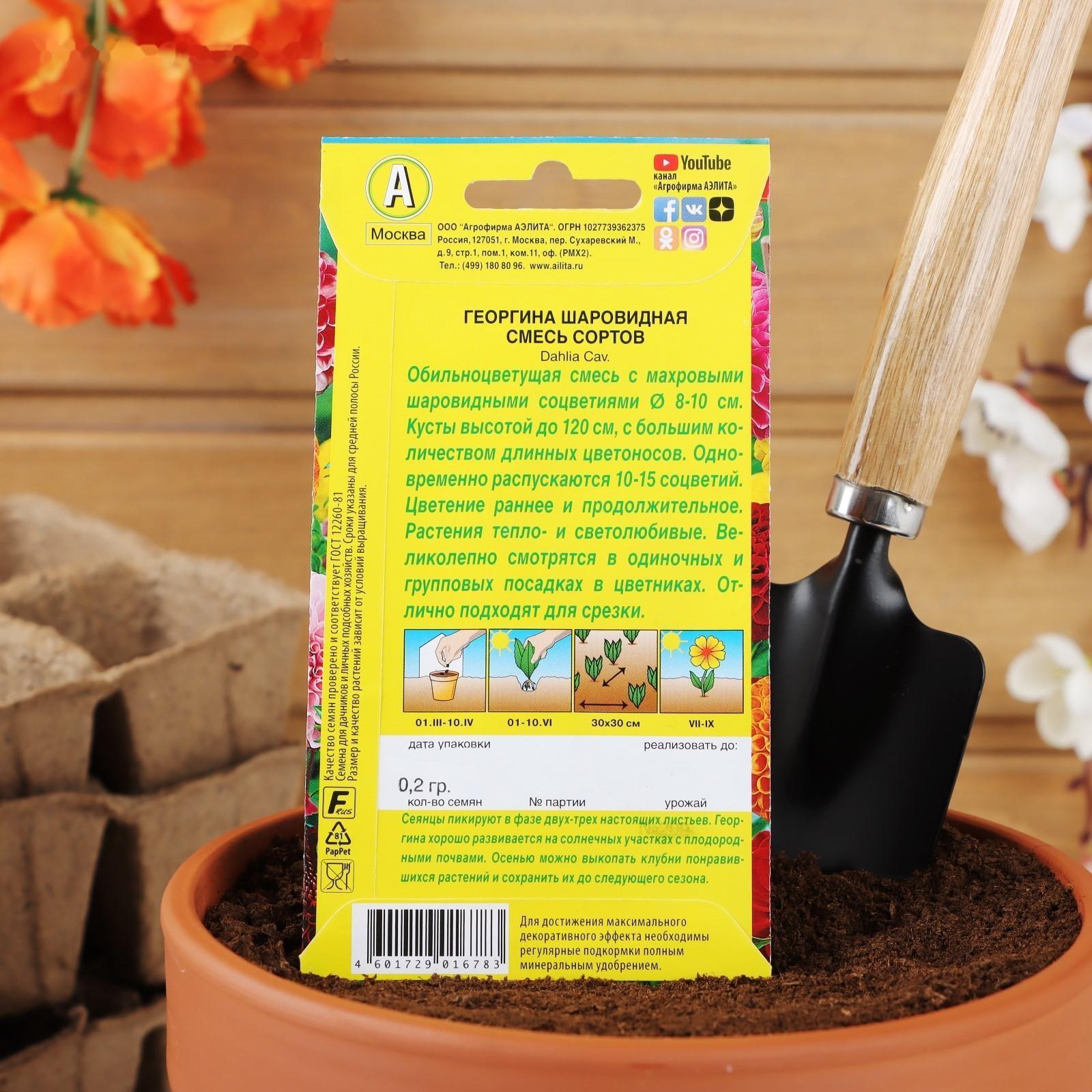 Семена  цветов Георгина 