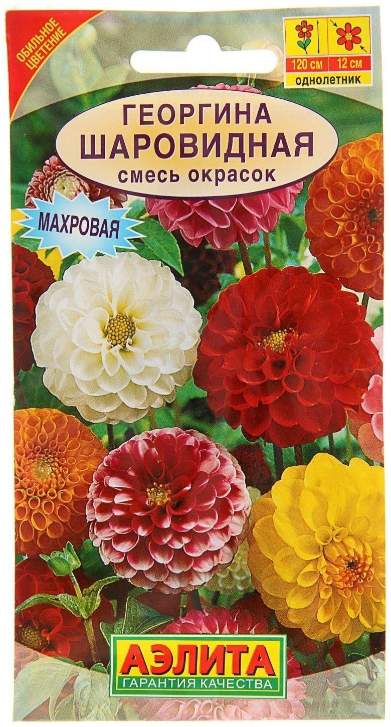 Семена  цветов Георгина 