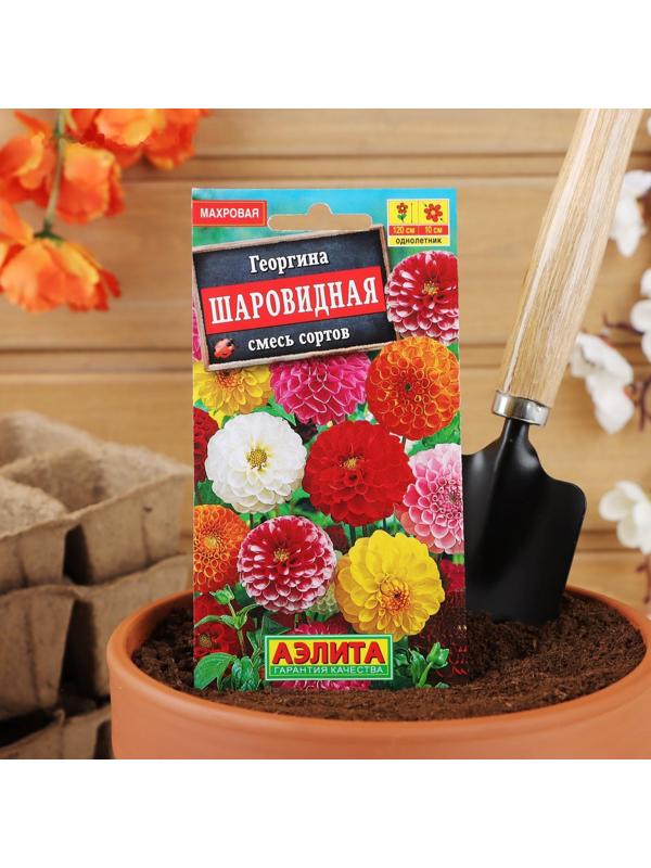 Семена  цветов Георгина 