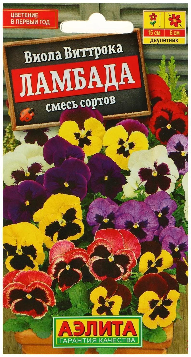 Семена цветов Виола 