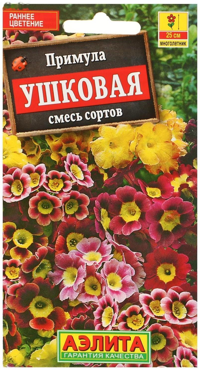 Семена цветов Примула 