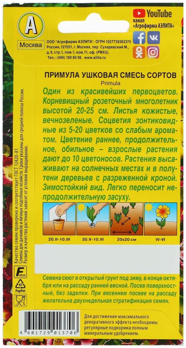 Семена цветов Примула 