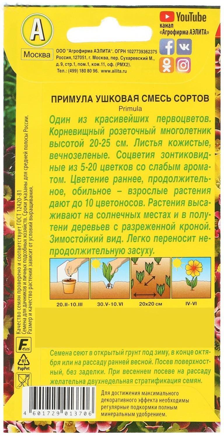 Семена цветов Примула 