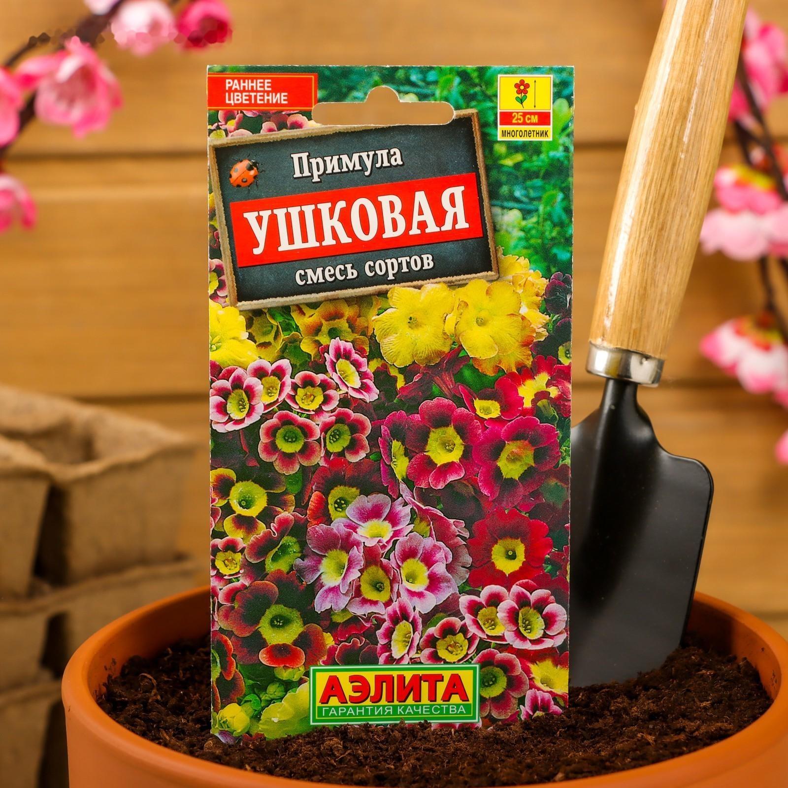 Семена цветов Примула 