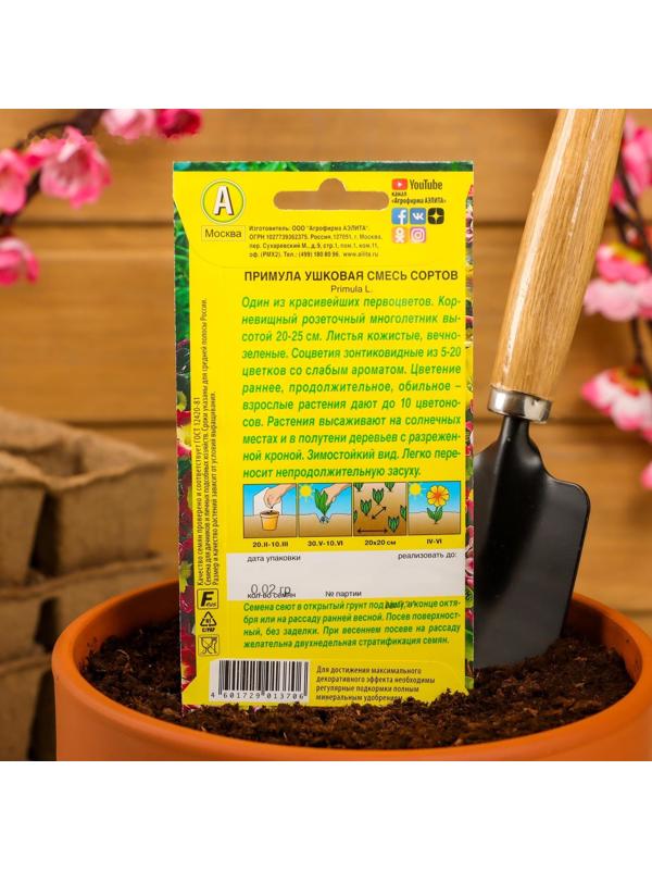 Семена цветов Примула 