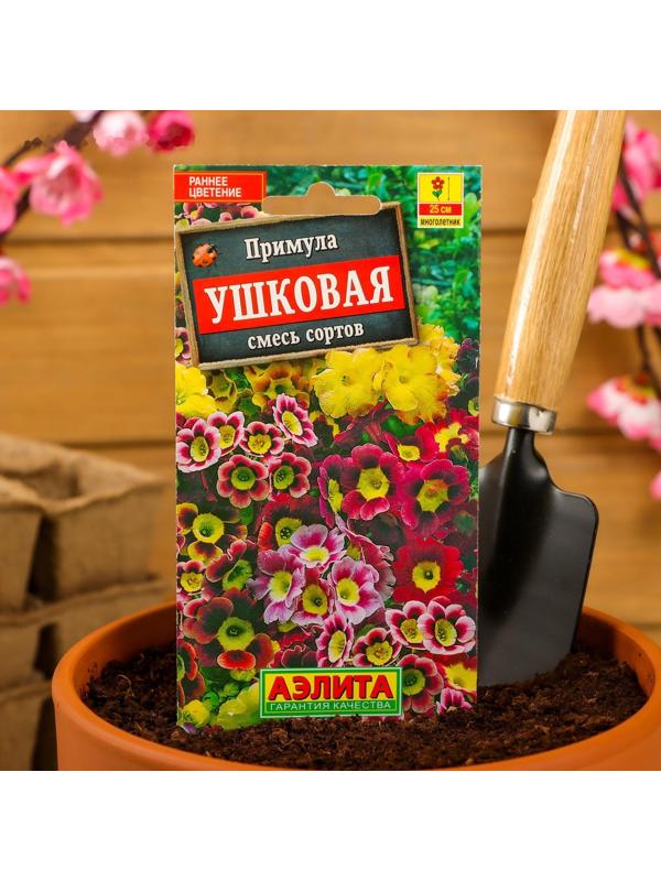 Семена цветов Примула 