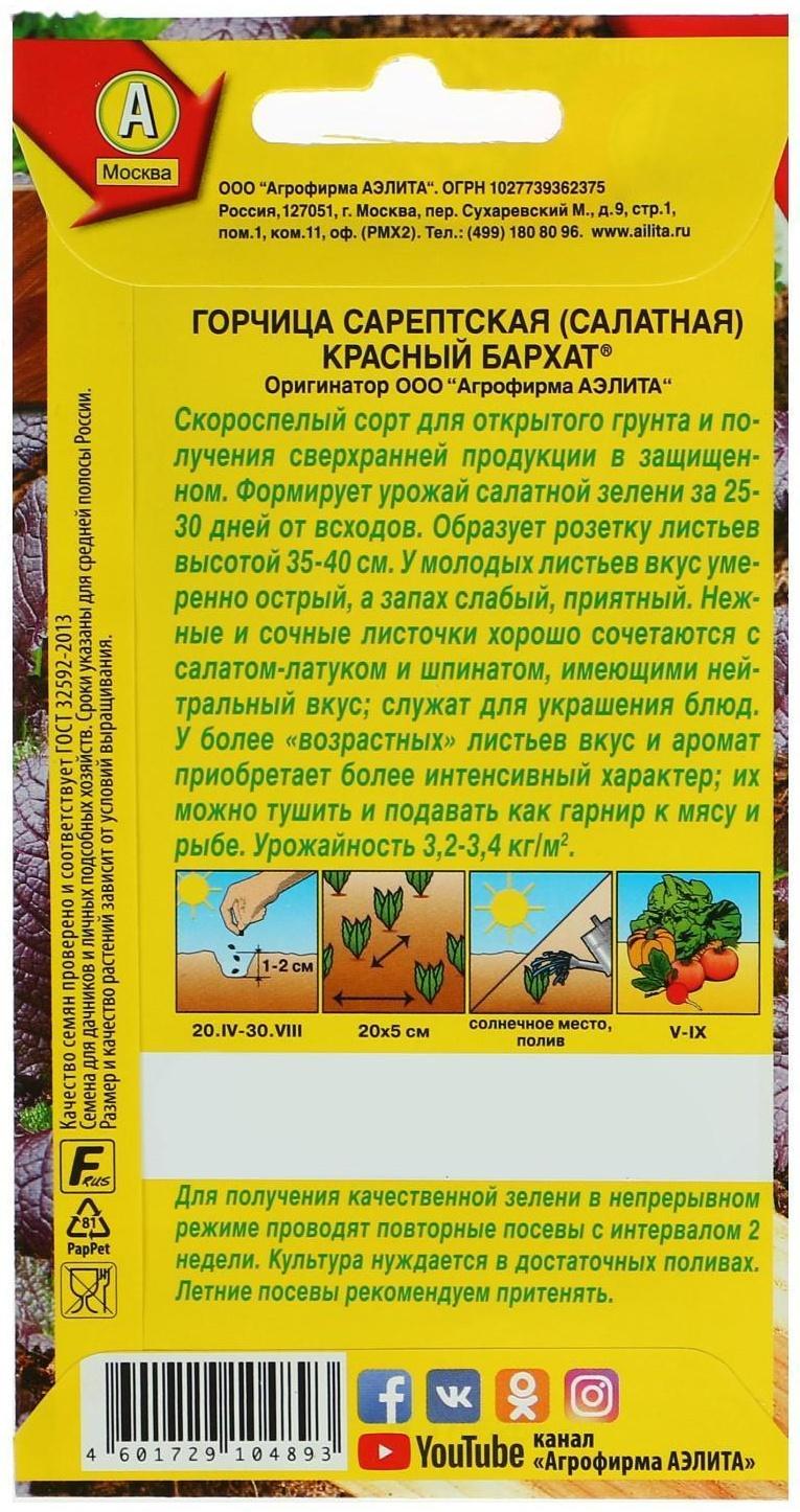 Семена  Горчица салатная 