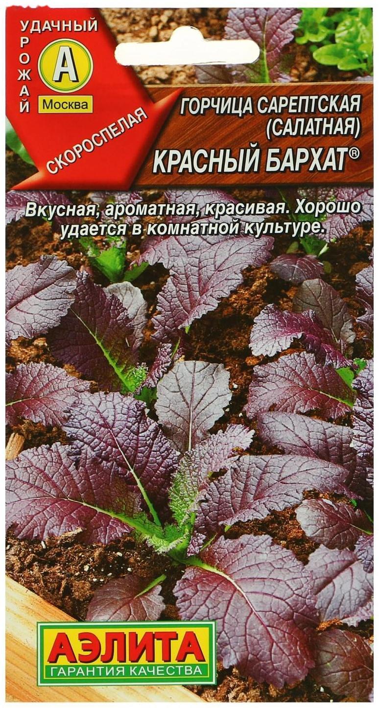 Семена  Горчица салатная 