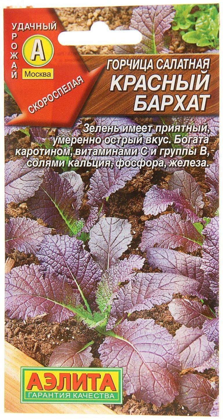 Семена  Горчица салатная 