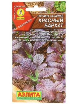 Семена  Горчица салатная 