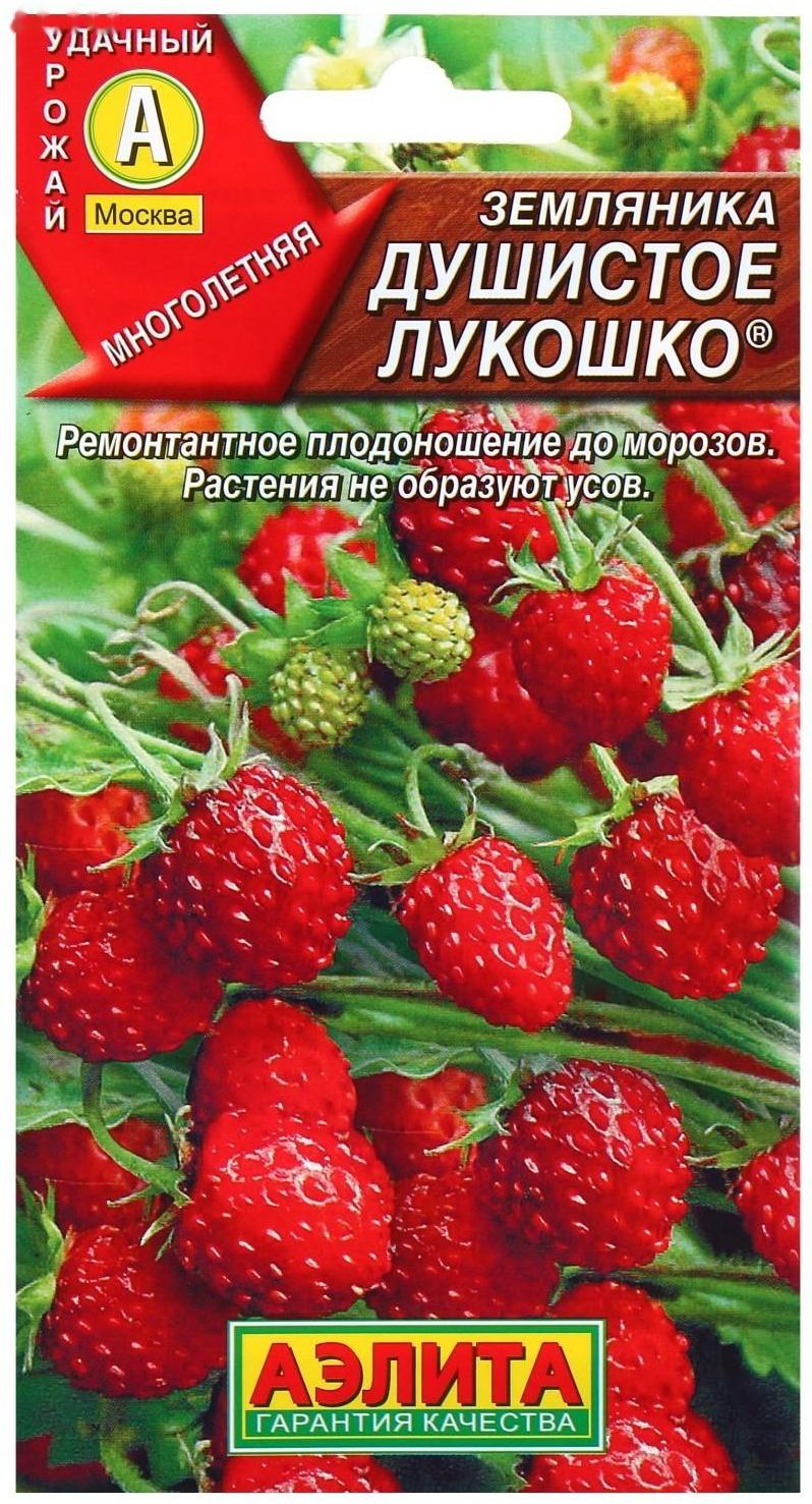 Семена  Земляника 