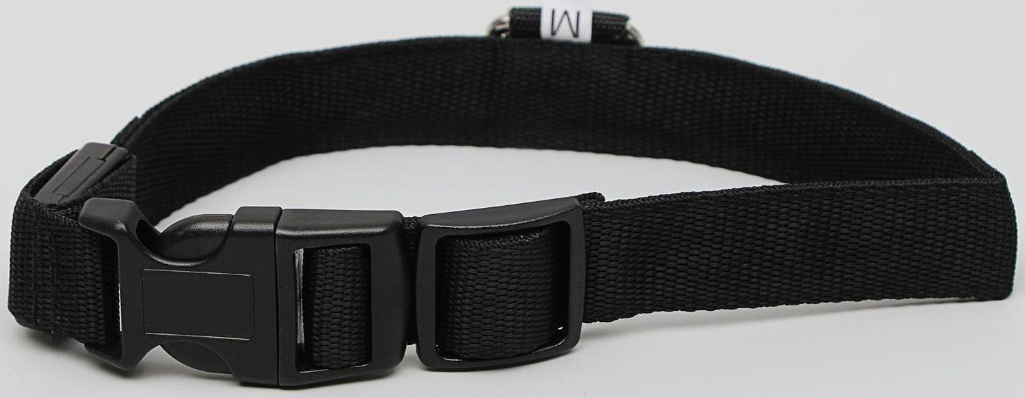 Ошейник с подсветкой 