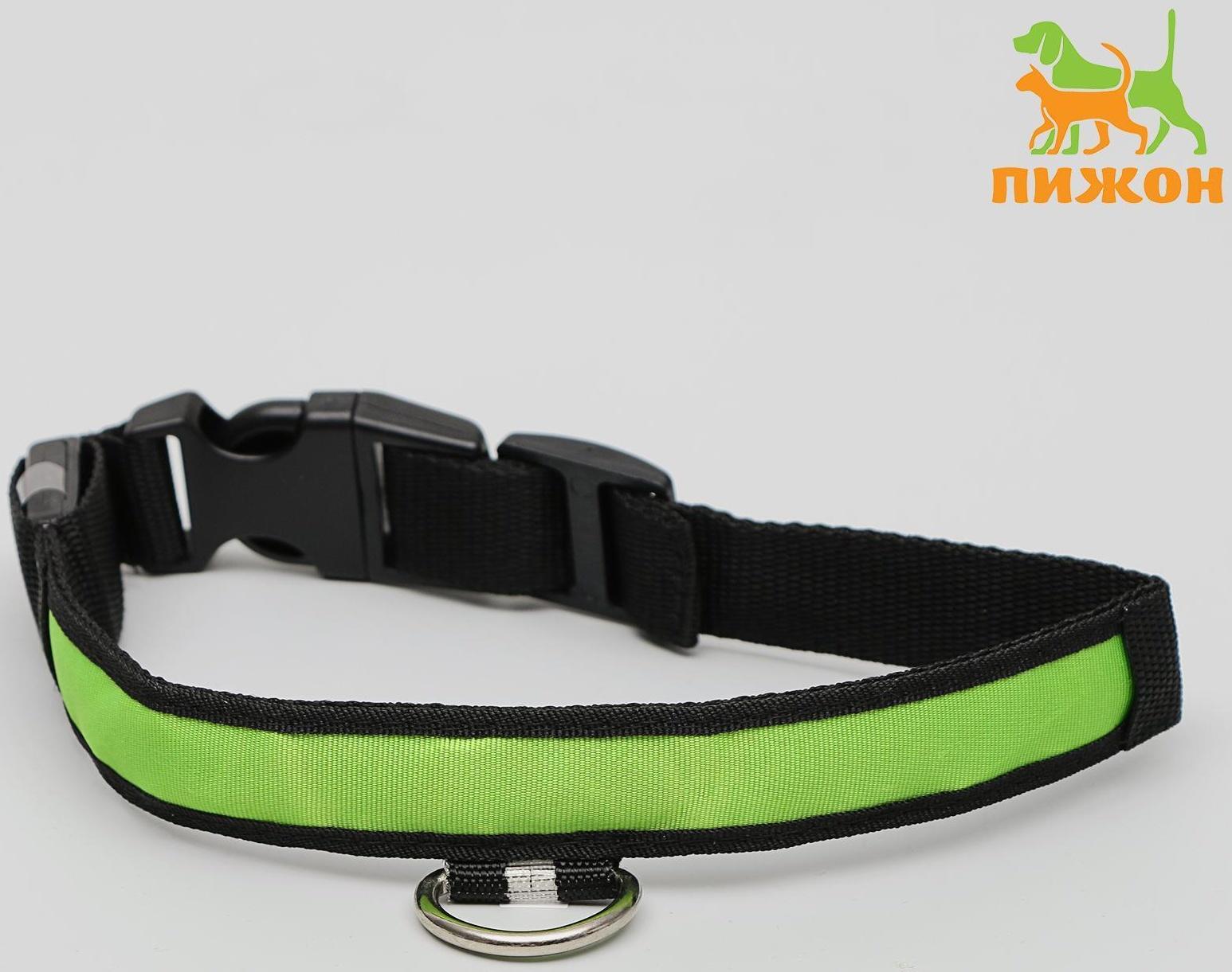 Ошейник с подсветкой 