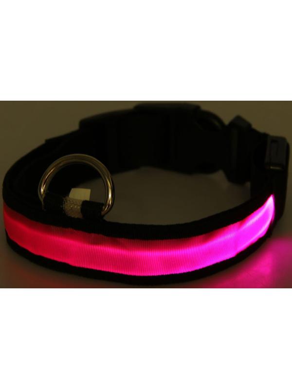 Ошейник с подсветкой 
