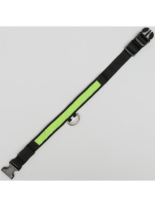 Ошейник с подсветкой 