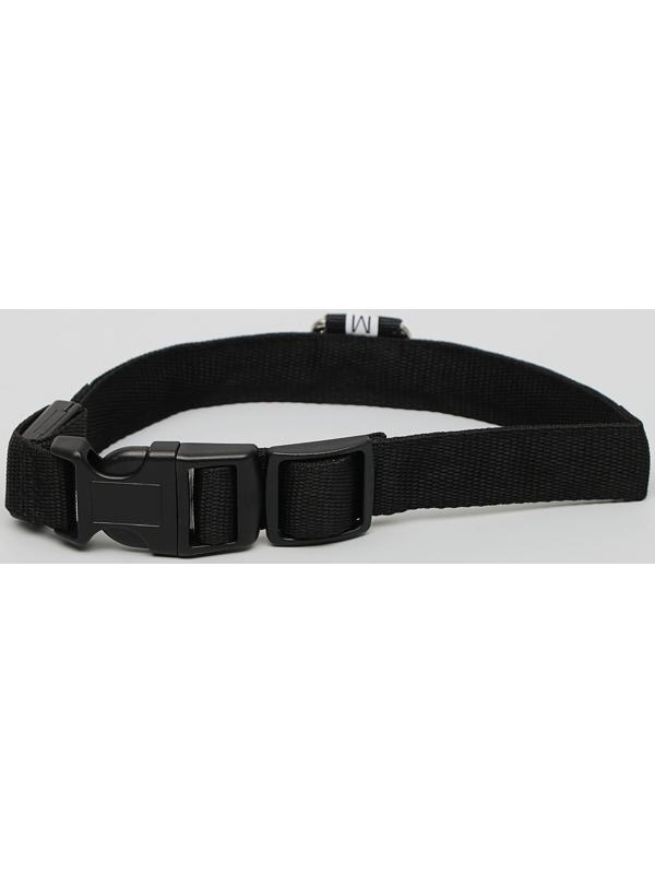 Ошейник с подсветкой 