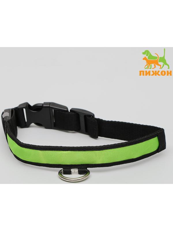 Ошейник с подсветкой 