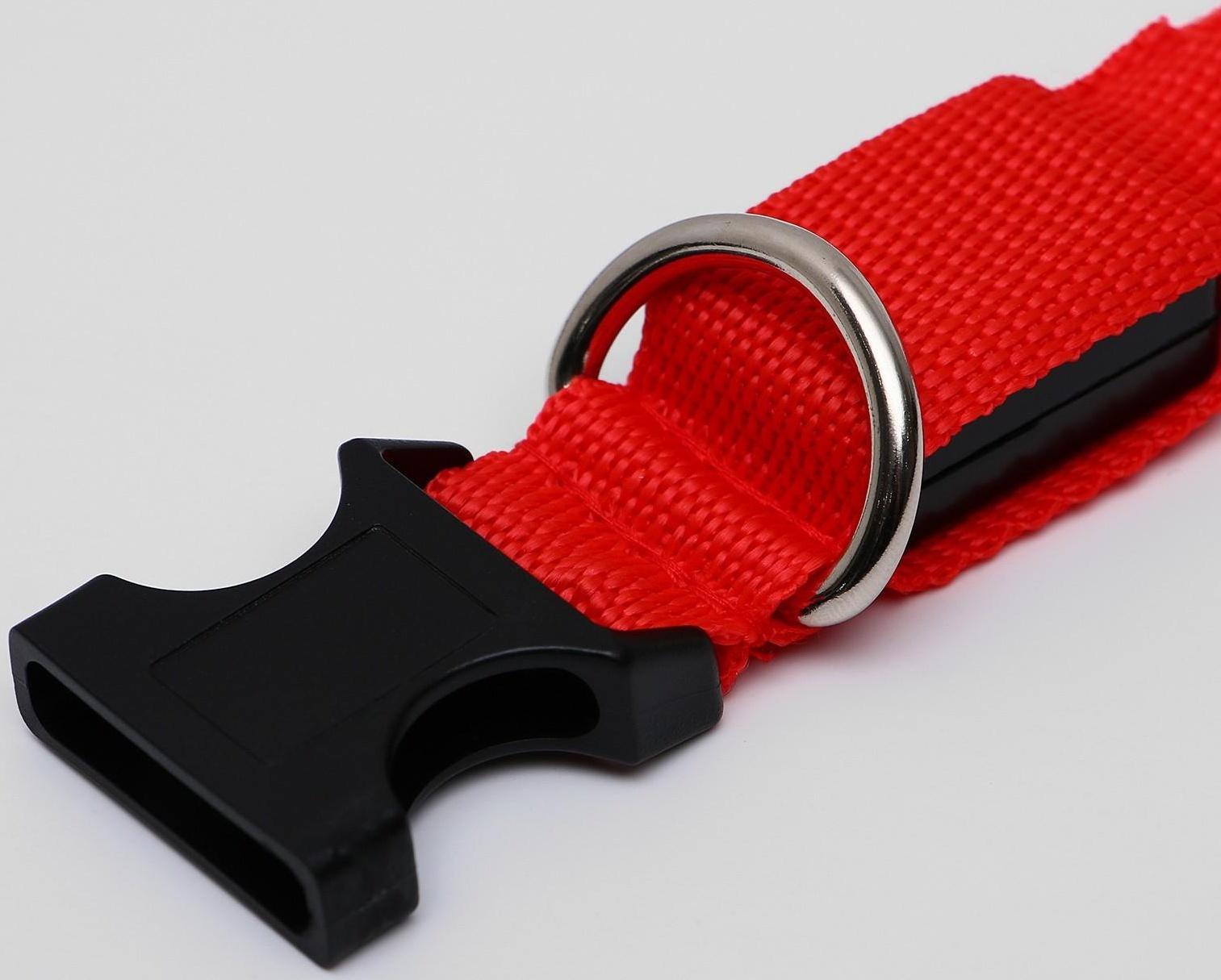 Ошейник с подсветкой, S, 38-40 см, 3 режима свечения, красный