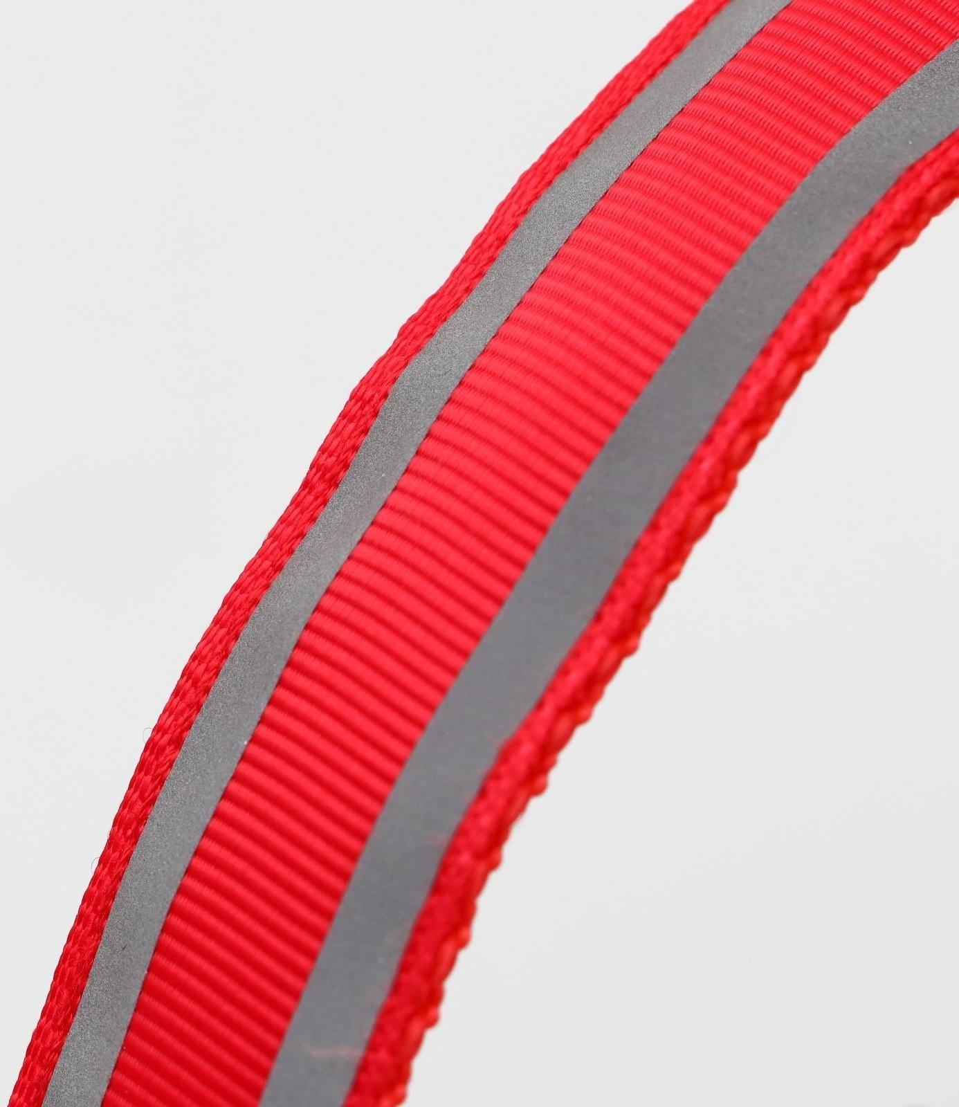 Ошейник с подсветкой, S, 38-40 см, 3 режима свечения, красный