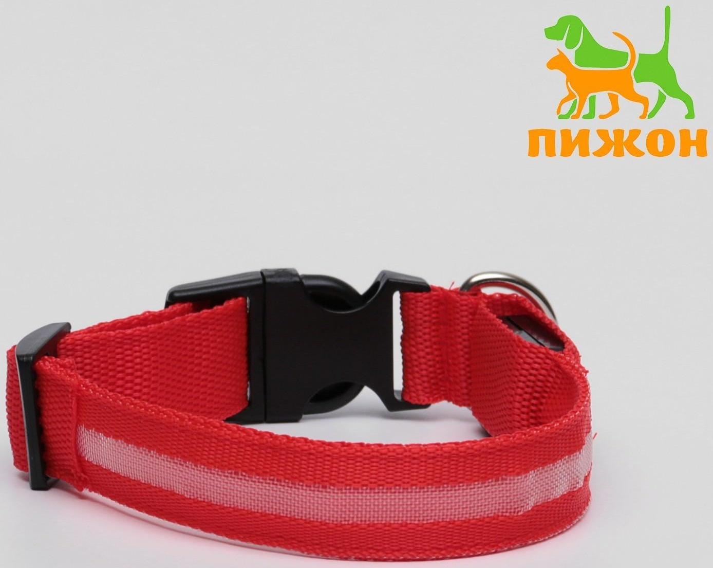 Ошейник с подсветкой, S, 38-40 см, 3 режима свечения, красный